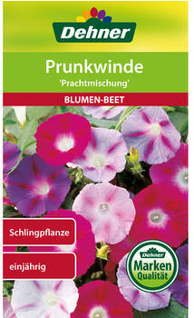 Dehner Prunkwinde Prachtmischung, Bunt