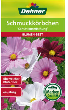 Dehner Schmuckkörbchen Sensationsmischung, Bunt