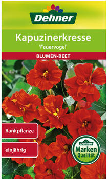 Dehner Kapuzinerkresse Feuervogel, Rot