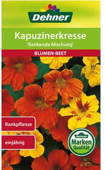 Dehner Kapuzinerkresse Rankende Mischung, Bunt