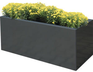 Palatino Lotte 120x40x50cm anthrazit