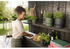 Elho greenville Topf rund 16cm