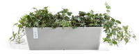 Ecopots Bruges mit Wasserbehälter BxTxH: 17x45x17 cm weiß/grau