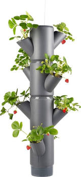 Gusta Garden Sissi Strawberry Erdbeerampel 4 Etagen inkl. Hängeset anthrazit