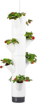 Gusta Garden Sissi Strawberry Erdbeerampel 4 Etagen inkl. Hängeset weiß