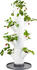 Gusta Garden Sissi Strawberry Erdbeerbaum 4 Etagen inkl. Untersetzer weiß