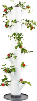 Gusta Garden Sissi Strawberry Erdbeerbaum 6 Etagen inkl. Untersetzer weiß