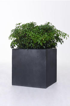 Vivanno Steinoptik Block Würfel 40x40x40cm Anthrazit