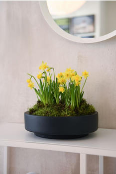 Vivanno Escada Low Fiberglas 30x9cm Anthrazit