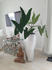 Vivanno City Fiberglas 47x100cm