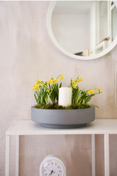 Vivanno Escada Low Fiberglas 45x12cm Beton-Design Grau