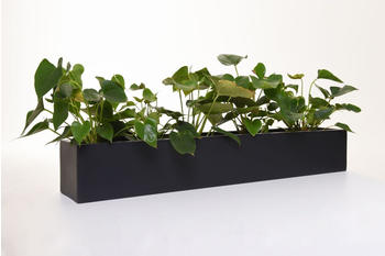 Vivanno Flobo Fiberglas 100x17x15cm Anthrazit