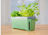 Gusta Garden Harry Herbs 4 in 1 Kräutertopf mit Wasserreservoir dunkelgrün