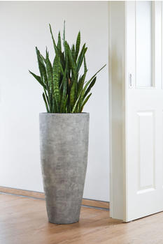 Vivanno City Fiberglas 37x80cm Beton-Design Grau