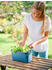 Gusta Garden Harry Herbs 4 in 1 Kräutertopf mit Wasserreservoir blau