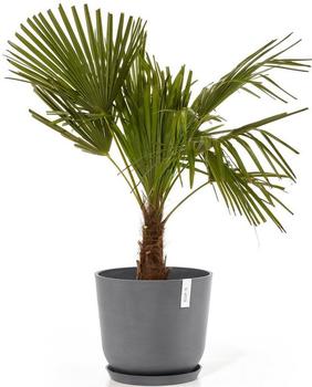 Ecopots Pflanztopf Oslo Kunststoff Ø35x30,5cm grau