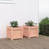 vidaXL Pflanzkübel 31x31x31cm 2er-Set