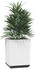 vidaXL Pflanzkübel 2er Set 30 x 30 x 37 cm Polypropylen Weiß