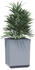 vidaXL Pflanzkübel 2er Set 30 x 30 x 37 cm Polypropylen Hellgrau