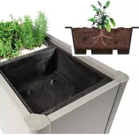 Biohort Pflanzeinsatz "PFLANZEINSATZ 2 Stk" 50x50x18 cm