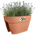 Elho Vibia campana flower bridge 40cm terra