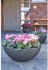 Dehner Miami Kugelschale rund Ø 52 x 20 cm anthrazit (5181383)