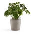 Ecopots Amsterdam 50x43,8cm Taupe