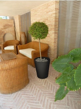 Newgarden GERBERA 50 Rustica XXL rund hoch Ø50x59cm schwarz