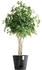 Ecopots Blumentopf Venice Kunststoff Ø 37,7 cm 40,2 x 40,2 x 35,7 cm dunkelgrau