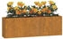 vidaXL Wand-Pflanzkübel Cortenstahl rostig 53 x 10 x 17 cm 2 Stk. (823686)