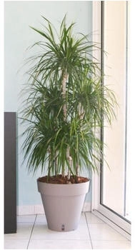 RiViERA Loft Flower Pot with Water Reservoir Round 50 x 46 cm Taupe