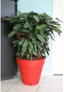 RiViERA Loft round flower pot 50 x 46 cm red