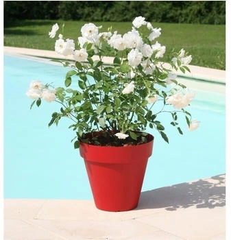 RiViERA Soleilla round plant pot 39.2 x 35.8 cm red