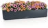 Lechuza Balconera Color 100 All-in-One Set
