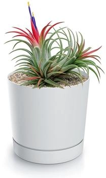 Magubo Blumentopf mit Untersetzer Kompakt 13 cm Durchmesser (Weiß 130)
