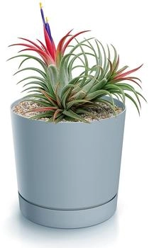 Magubo Blumentopf mit Untersetzer Kompakt 18 cm Durchmesser (Grau 180)