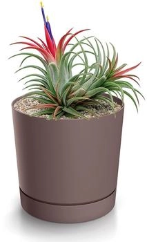 Magubo Blumentopf mit Untersetzer Kompakt 11 cm Durchmesser (Rotwein 110)
