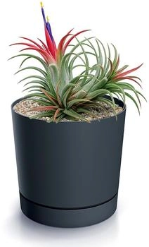 Magubo Blumentopf mit Untersetzer Kompakt 13 cm Durchmesser (Anthrazit 130)