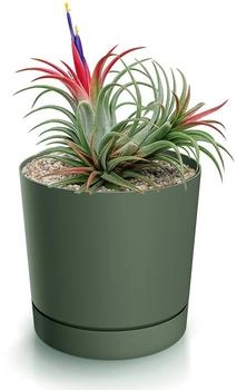 Magubo Blumentopf mit Untersetzer Kompakt 13 cm Durchmesser (Grün 130)