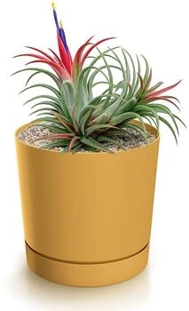 Magubo Blumentopf mit Untersetzer Kompakt 11 cm Durchmesser (Gelb 110)
