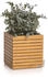 Lechuza PALO Natural Wood 45 low