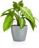 Lechuza Classico Color round pot 15 x 13.5 cm