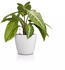 Lechuza Classico Color round pot 15 x 13.5 cm