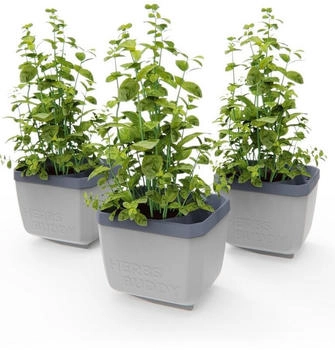 Gusta Garden Herbs Buddy (50 cm)