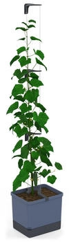 Gusta Garden Pflanzen Zubeh&ouml;r CURT CUCUMBER Gurkentopf Blau (28.70 cm 33.50 cm)