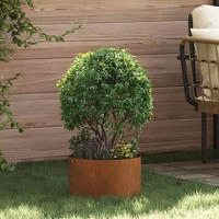 vidaXL Pflanzenring Braun 30 x 30 x 20 cm Wetterfeststahl