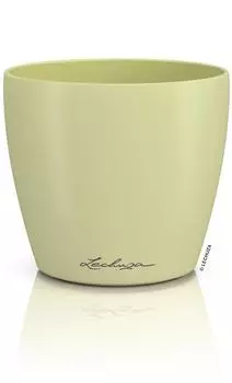 Lechuza CLASSICO Color 12 DECO linde (16673)