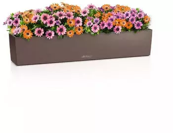 Lechuza Balconera Color 100 All-in-One Set