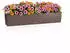 Lechuza Balconera Color 100 All-in-One Set