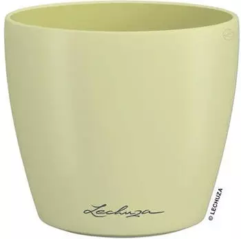Lechuza Classico Color Deco 10